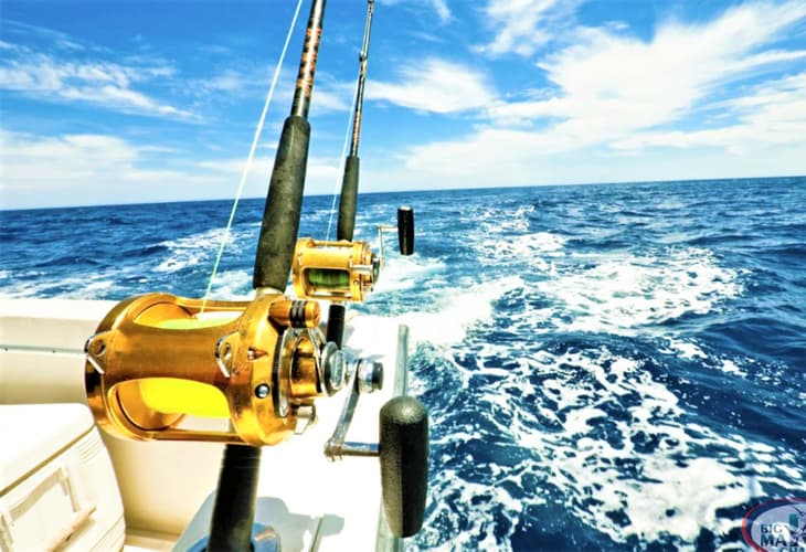 Mangrove Safari & Fishing