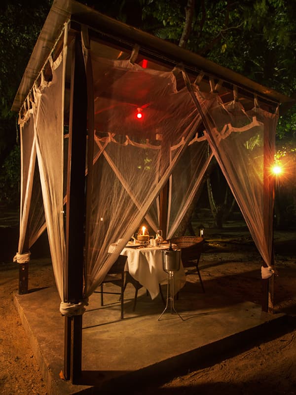 SeaShell Neil Main Property Image