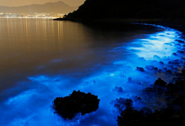 portblair-amaya-dinning