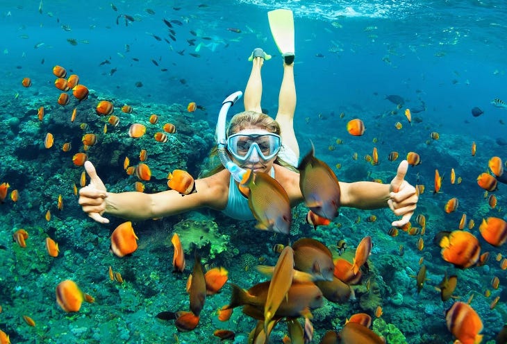 portblair-amaya-dinning