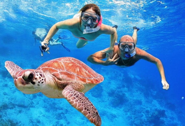 portblair-amaya-dinning